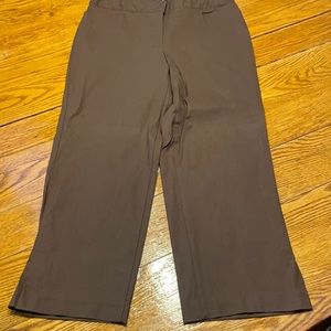 Courtenay brown slacks, lightweight.  Size 10.  Great condition.
